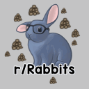 Rabbitors avatar