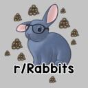 Rabbitors icon