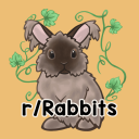 Discovery icon for Rabbitors Discord server