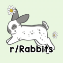 Discovery icon for Rabbitors Discord server