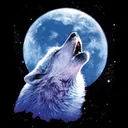 Wolf Pack