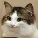 [GE] Gilerms Experience