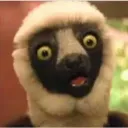 LIVE DO ZUMBU