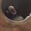 servidorzao da porra