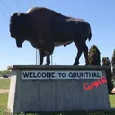Grunthal Gang