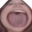 Apollolol Afterstream