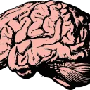 Cerebrum Sci-Fi Roleplay