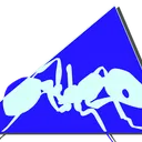 Ants