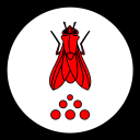 Мухосранск icon