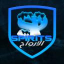 SpiritsMC icon