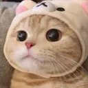The YogaBobbaMemes (YBM) Official Discord Server