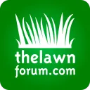 TLF