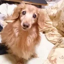 ふぉとな