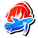 Aquariophilie FR