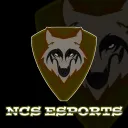 NCS Esports