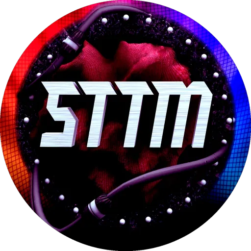 ST`TM — мониторинг Discord сервера, статистика и рейтинг