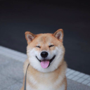 ÃŸepis ÃŸois Server Icon