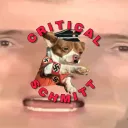 Critical Schmitt