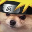 Tera Ninja Discord