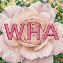 Discovery icon for Blossom | VC - Chill - Social - Relax Discord server