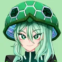 The Turtle Drive