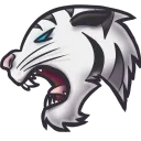 White Tiger Club