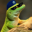 The Gecko Squad