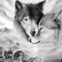 The kingdom of furs
