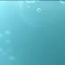 The Coral Reef