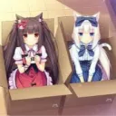 Catgirl Appreciation Station