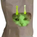 ketku dc