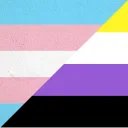 Trans Destek