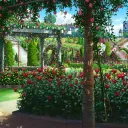 Yen Garden Network