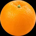 Orange Juice Distribution Centre