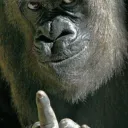 Cancerous Apes
