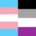 Transgender Asexuals