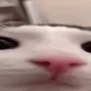 plinkademy
