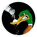 Salty Duck Studios