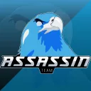 TEAM Assassin's