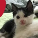 じんじんのプレンズたち！