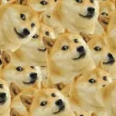The Doge Empire's icon