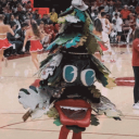 Stanford icon