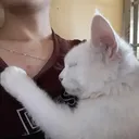 ❥HuyCuteChannel✿