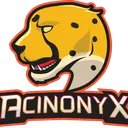 Acinonyx Esports