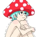 きのこ部屋