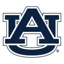 Discovery icon for Auburn Tigers Discord server