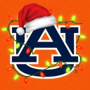 Discovery icon for Auburn Tigers Discord server