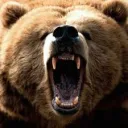 The Bear Den