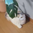 :DaeGi