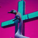 Suicide Duckz, LLC